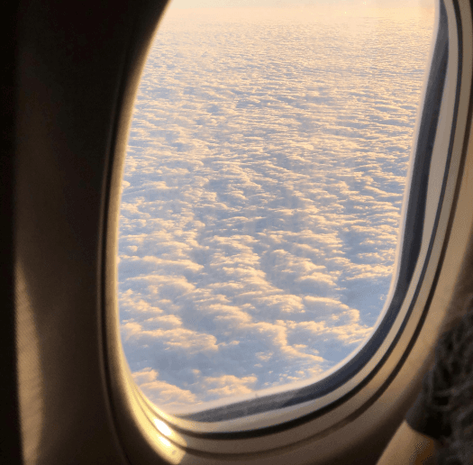 International travel